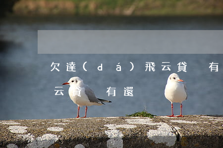 欠達(dá)飛云貸沒有還(欠達(dá)飛云貸沒有還)
