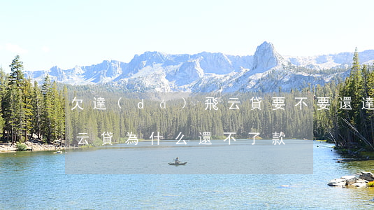 欠達(dá)飛云貸要不要還(達(dá)飛云貸為什么還不了款)