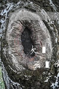欠達(dá)飛云貸錢人死了(達(dá)飛云貸倒閉,借款已經(jīng)還清,怎么還打電話要錢)