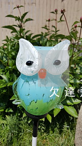 欠達飛云貸上征信嗎(達飛云貸會上征信嗎?)