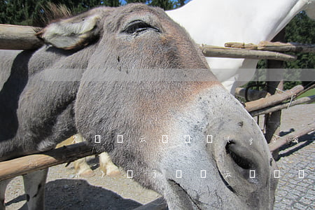欠達飛云貸債權(quán)轉(zhuǎn)讓了(達飛云貸債權(quán)認領(lǐng))