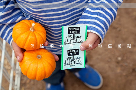 欠達飛云貸收到短信逾期通知