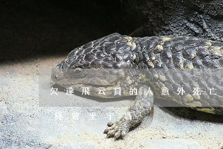 欠達飛云貸的人意外死亡怎么辦-欠達飛云貸會坐牢嗎