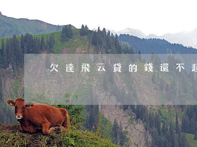 欠達飛云貸的錢還不起了怎么辦-