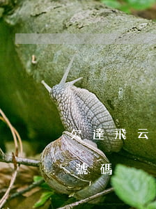 欠達飛云貸貴州分公司(達飛云貸總公司電話號碼)