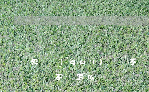 欠違規(guī)網貸不還怎么辦(如果欠的網貸不還怎么辦)