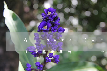 欠還唄5000網(wǎng)絡(luò)仲裁是真的嗎(還唄 仲裁)