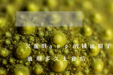 欠還唄app的錢逾期了怎么辦(還唄app逾期多久上征信)