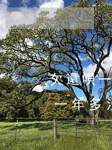 欠還唄一年多不還會(huì)怎么樣(還唄一年多沒(méi)還)