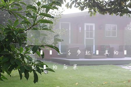 欠還唄三千多起訴真的嗎(借唄欠三千不還被起訴的后果)