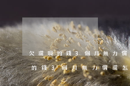 欠還唄的錢3個月無力償還怎么辦-欠還唄的錢3個月無力償還怎么辦呢