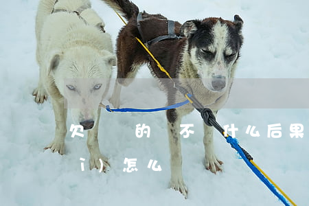 欠還唄的錢不還什么后果(欠還唄錢會(huì)怎么樣)