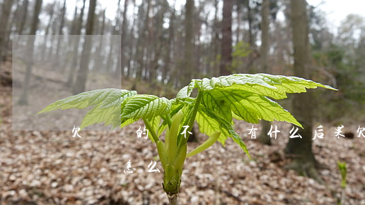 欠還唄的錢不還會有什么后果(欠還唄的錢不還會怎么樣)