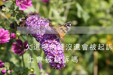 欠還唄的錢沒還會被起訴嗎(欠借唄的錢還不上 會被起訴嗎)