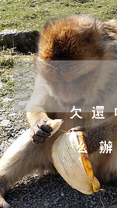欠還唄的錢目前還不上怎么辦(還唄還不起怎么辦)