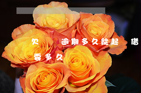欠還唄逾期多久能起訴(借唄逾期不還起訴需要多久)