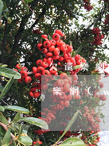 欠還樂網(wǎng)貸不還會怎么樣(欠還樂網(wǎng)貸不還會怎么樣)