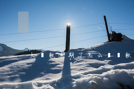 欠還款逾期了怎么辦(還款有逾期了怎么辦)