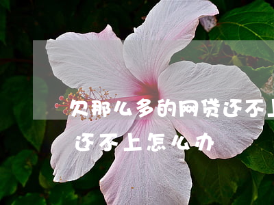 欠那么多的网贷还不上怎么办(欠的网贷太多还不上怎么办)