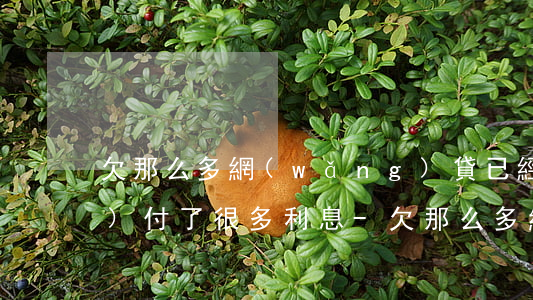 欠那么多網(wǎng)貸已經(jīng)付了很多利息-欠那么多網(wǎng)貸已經(jīng)付了很多利息怎么辦