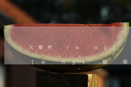 欠那些網(wǎng)貸會比較嚴重-欠網(wǎng)貸最嚴重會怎么樣