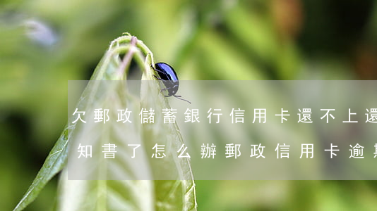 欠郵政儲蓄銀行信用卡還不上還接到立案通知書了怎么辦（郵政信用卡逾期被立案）