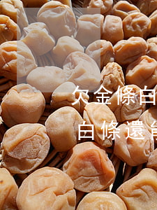欠金條白條還能進(jìn)京東嗎(欠金條白條還能進(jìn)京東嗎)