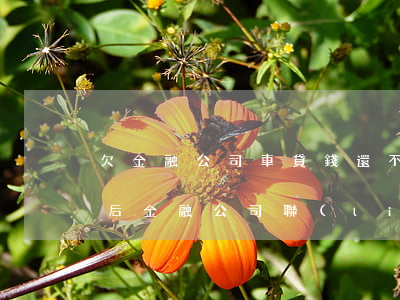 欠金融公司車貸錢還不上怎么辦(車貸還清之后金融公司聯(lián)系不上怎么辦)