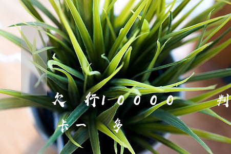 欠銀行10000塊錢判多少年（美女欠銀行卡一萬多）