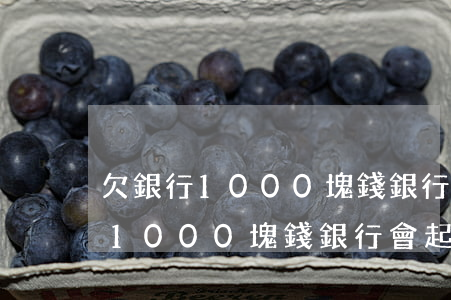 欠銀行1000塊錢銀行會起訴嗎-欠銀行1000塊錢銀行會起訴嗎知乎