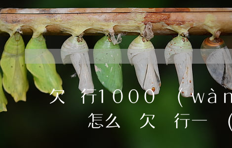欠銀行1000萬(wàn)無(wú)力償還怎么辦(欠銀行一個(gè)億無(wú)力償還會(huì)怎樣?)