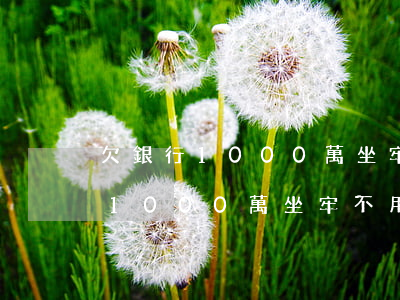 欠銀行1000萬坐牢不用還了嗎-欠銀行1000萬坐牢不用還了嗎知乎