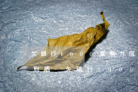 欠銀行1000萬無力償還會(huì)判刑嗎-欠銀行1000萬無力償還會(huì)判刑嗎知乎