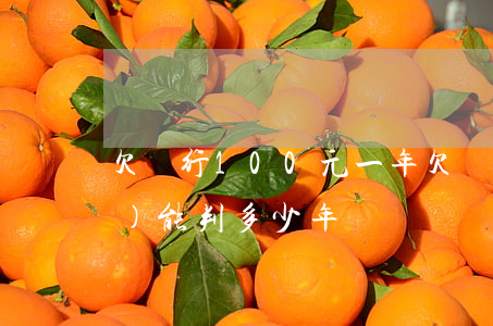 欠銀行100元一年(欠銀行一百萬(wàn)能判多少年)