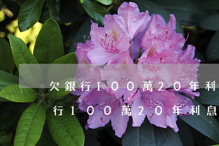欠銀行100萬20年利息要還多少-欠銀行100萬20年利息要還多少錢