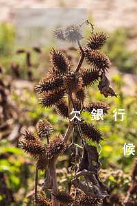 欠銀行10萬(wàn)銀行什么時(shí)候可以起訴-欠銀行10萬(wàn)銀行什么時(shí)候可以起訴呢