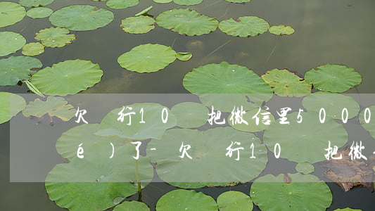 欠銀行10萬把微信里5000凍結(jié)了-欠銀行10萬把微信里5000凍結(jié)了怎么辦