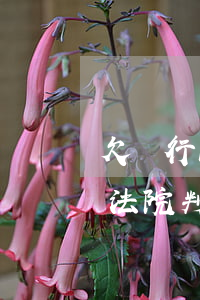欠銀行11萬的男子(一男子欠銀行71余萬,法院判決:不用還)