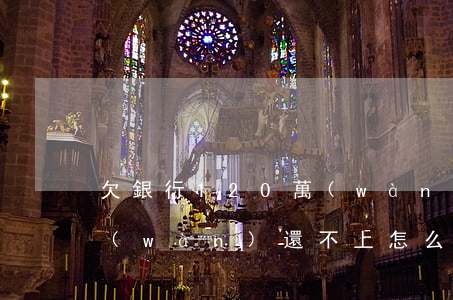 欠銀行120萬(wàn)(欠銀行120萬(wàn)還不上怎么辦)