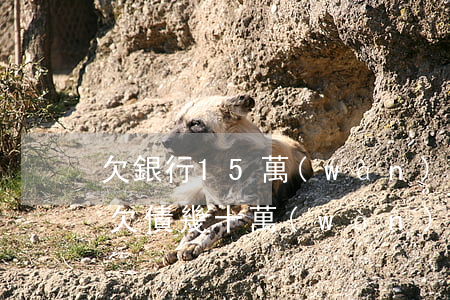 欠銀行15萬(wàn)投資失敗(投資失敗欠債幾十萬(wàn))