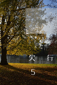 欠銀行15萬網(wǎng)貸15萬(欠15萬網(wǎng)貸怎么辦)