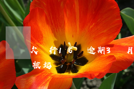 欠銀行16萬逾期3個月被起訴(欠銀行兩萬被起訴)
