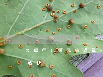 欠銀行1萬元被通緝-銀行欠1萬多塊錢被起訴