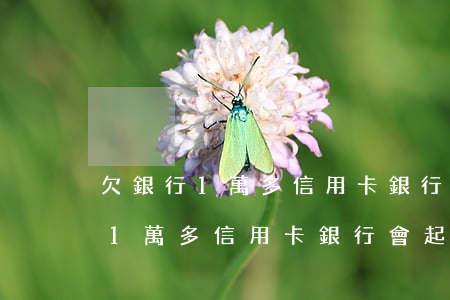 欠銀行1萬多信用卡銀行會起訴嗎?-欠銀行1萬多信用卡銀行會起訴嗎知乎