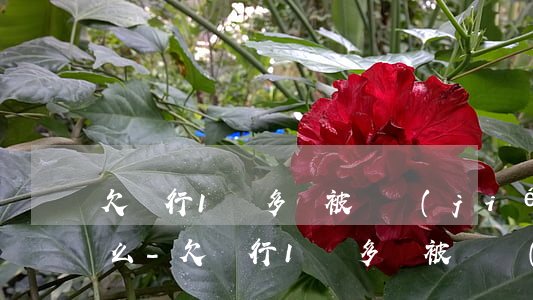 欠銀行1萬多會被凍結(jié)期貨賬戶么-欠銀行1萬多會被凍結(jié)期貨賬戶么嗎