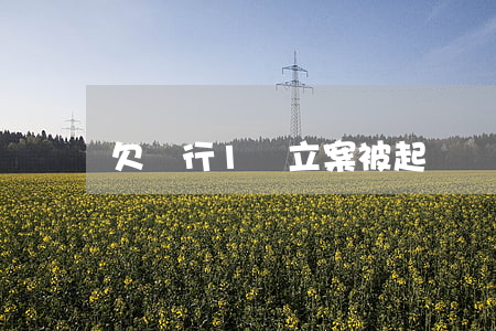欠銀行1萬立案被起訴
