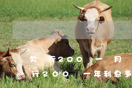 欠銀行200萬一個月還1000元-欠銀行200萬一年利息多少
