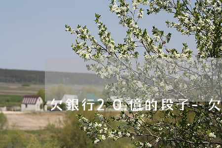 欠銀行20億的段子-欠銀行幾十億