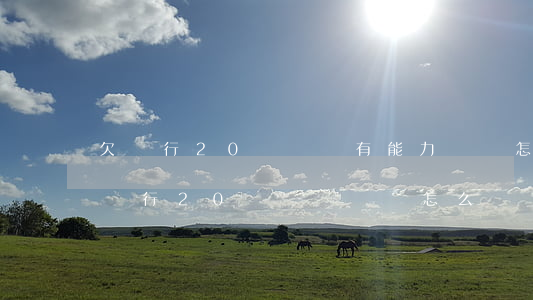 欠銀行20幾萬沒有能力還會怎樣-如果欠銀行20萬沒錢還會怎么樣