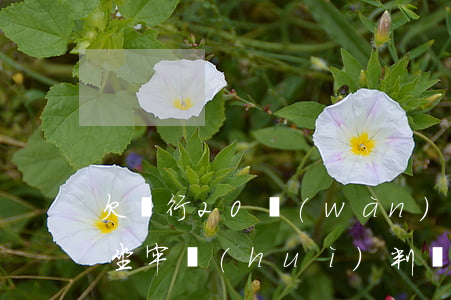 欠銀行20萬(wàn)無(wú)力償還坐牢會(huì)判幾年-欠銀行20萬(wàn)無(wú)力償還坐牢會(huì)判幾年呢